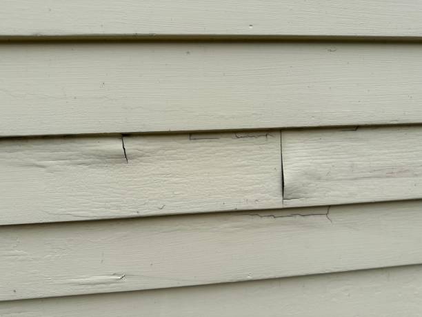 Siding for Commercial Buildings in Ridgeland, SC